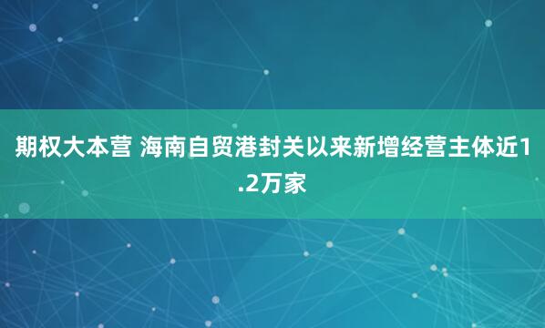 期权大本营 海南自贸港封关以来新增经营主体近1.2万家