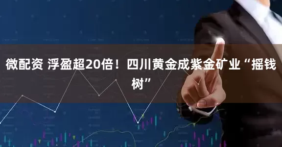 微配资 浮盈超20倍！四川黄金成紫金矿业“摇钱树”